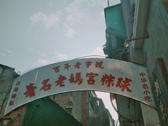 -老妈宫粽球