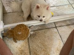 -零几体验diy皮具工作室(振业城店)