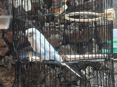 -大碗厨 25年老字号 现炒湘菜(四季天地店)