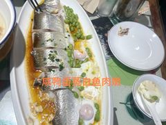 薄盐大鲈鱼-得意楼蒸菜馆