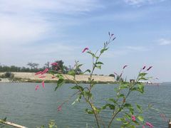 -怀来官厅水库