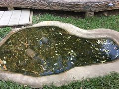 -清迈夜间动物园