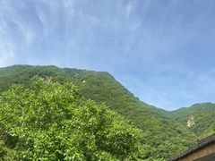-春发生饭店·非遗(南院门店)