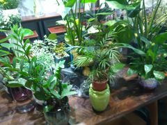 -何兮花店·气球派对鲜花店(马桥银春路万科城店)