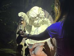 -逃脱反斗城沉浸剧情密室(北京路店)