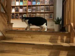 -猫的天空之城概念书店(杭州南宋御街店)