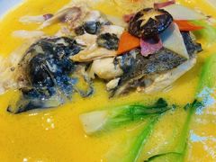 -丁老爷子苏香圆