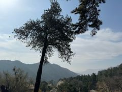 -潭柘寺景区