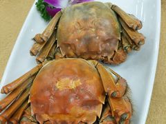 -百丈园龙江啫神馆