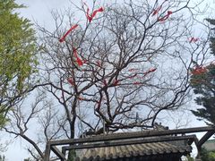 -蓬莱阁景区