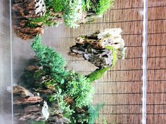 -VENCHI 闻绮(上海佛罗伦萨小镇店)