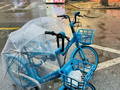 -马文章胖子甑糕(洒金桥店)