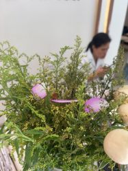 -Dr.林醫生产后修复·配方产康店(南京大厂店)