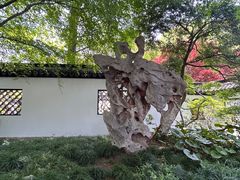 -上海醉白池公园