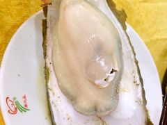 蚝-蚝专家(北滘店)