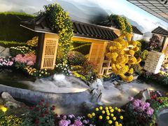 -杭州植物园