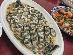 -呼吸森林·生态农庄农家乐私房菜