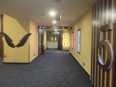 -华谊兄弟影院(IMAX洋桥店)