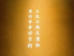 -泰古龙·三太子泰式Spa抓龙筋(太原街店)