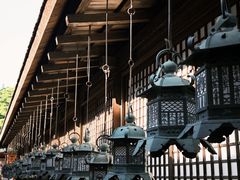 -奈良公园