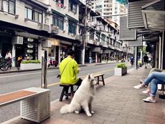 -Cafe del Volcan(永康路店)