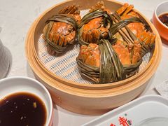 -杨氏青龙虾·羊蝎子(托乐嘉店)