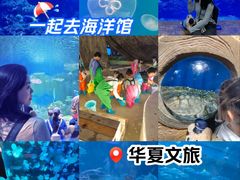 -华夏文旅海洋公园