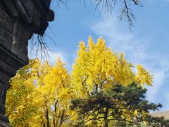 -泰山风景名胜区-普照寺