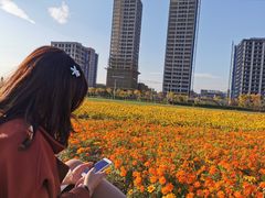 -映月湖中央公园