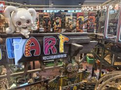 -卡通尼·Safari非洲探索乐园·生日会(金桥国际商业广场店)