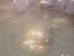 -青城道汤池