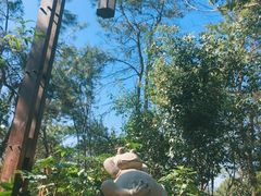 -天目湖涵田半山温泉