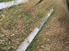 -证大喜玛拉雅中心