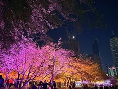 -COMMUNE幻师(花园道店)
