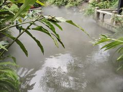 -广州兰圃