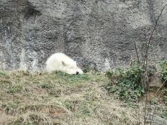 -杭州野生动物世界