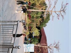 -广东惠东海龟国家级自然保护区