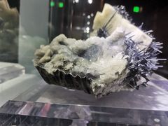 -湖南省地质博物馆