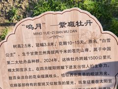 -太阳宫公园