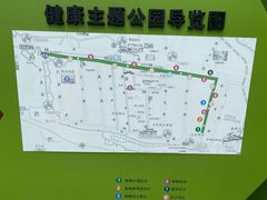 -合肥滨湖国家森林公园