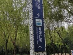 -丁香湖公园