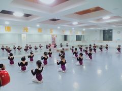 -西安小天鹅艺术团(金花路校区)