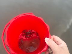 -启东黄金海滩景区