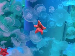 -海合安青岛极地海洋公园