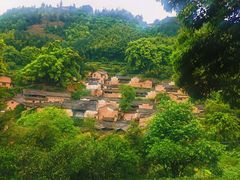 -杨家堂村