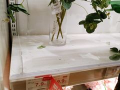 -NITORI 宜得利家居(上海中山公园龙之梦店)
