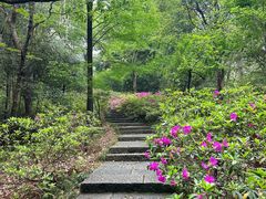 -杭州植物园