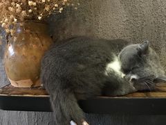 -MIKAKU(万达广场上海宝山店)