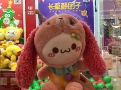 -LLJ夹机占(清河万象汇店)