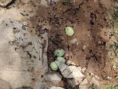 -大连植物园